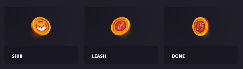 Jenis Token dalam Ekosistem Shiba Inu