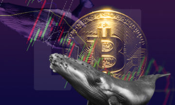 Gara-gara Beli 37.863 BTC Lagi, Terra Masuk ke Jajaran 10 Besar Whale Bitcoin