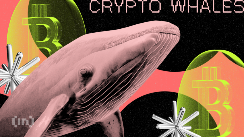 Crypto Whale Terpantau Lagi Borong Deretan Altcoin Ini, Peluang Profit Berlimpah di Masa Depan?