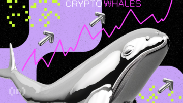 Menganalisis Aktivitas Crypto Whale: ke Manakah Mereka Akan Berlayar?