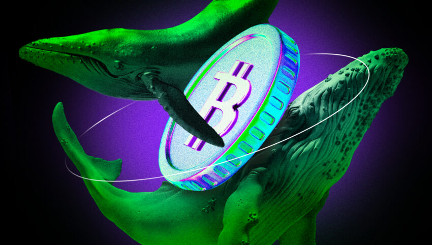 Analisis Sebut Fase Akumulasi Bitcoin oleh Investor Institusional Bisa Jadi sudah Rampung, Apa Artinya?