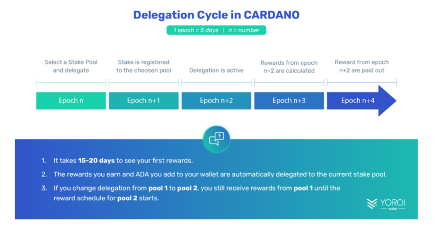 Siklus delegasi staking Cardano untuk mendapatkan imbalan token ADA. Sumber