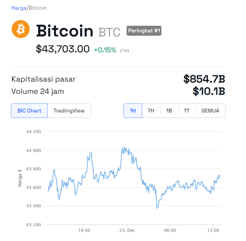 Grafik harga Bitcoin (BTC) dalam 24 jam terakhir | Sumber: BeInCrypto