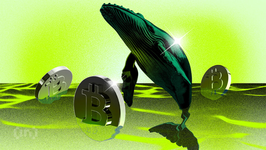 Usai Crypto Whale Borong US$6,2 Miliar BTC, Bisakah Harga Bitcoin Melesat ke US$57.000?