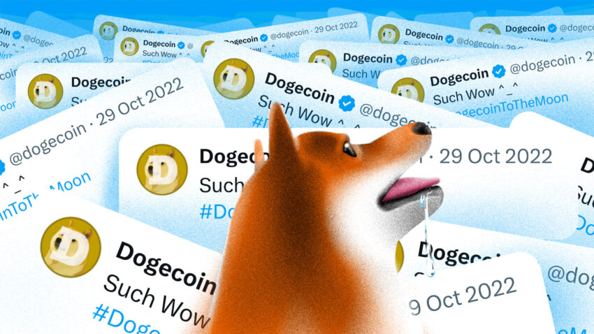 DogeChain Bakal Setop Operasi, Pengguna Diminta Segera Tarik Dogecoin (DOGE)